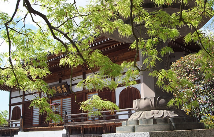 1000年の歴史と美しい庭園に、気軽に立ち寄れるお寺