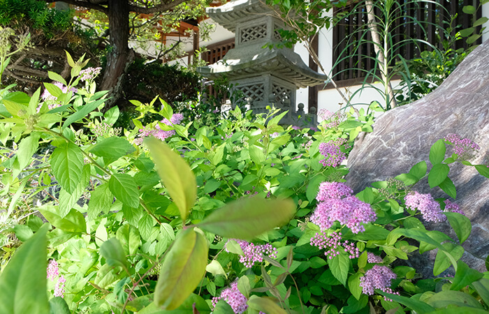 座禅もできる臨済宗 建長寺派 玉雲山　長徳寺