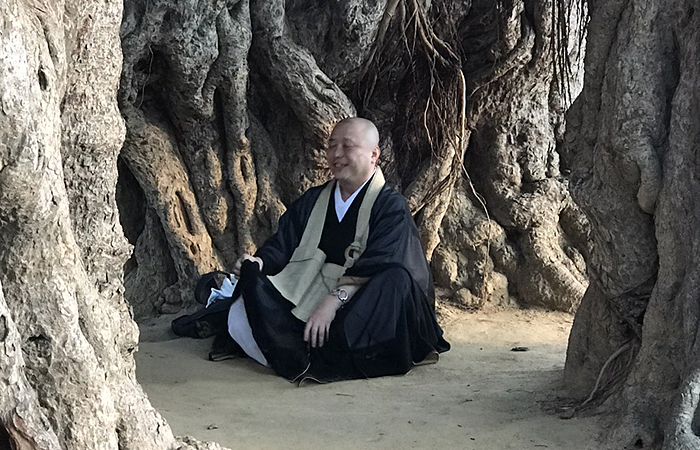 「精進」「努力」あるのみ。幸せとお寺のさらなる繁栄を願います