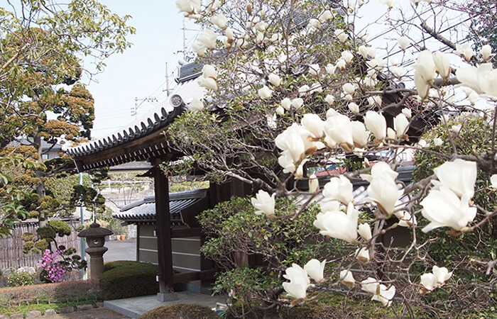 Attractive【魅力】-01　創建1000年の歴史、四季折々の美しい庭園が広がるお寺