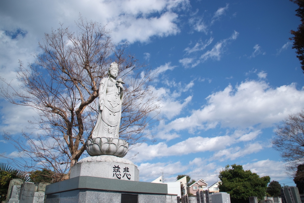 墓苑