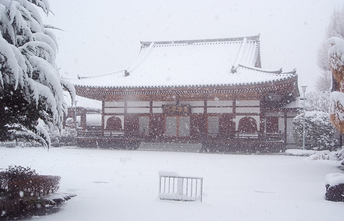 本堂雪景色