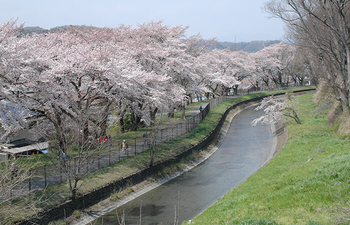 長徳寺とセットのおすすめ観光地